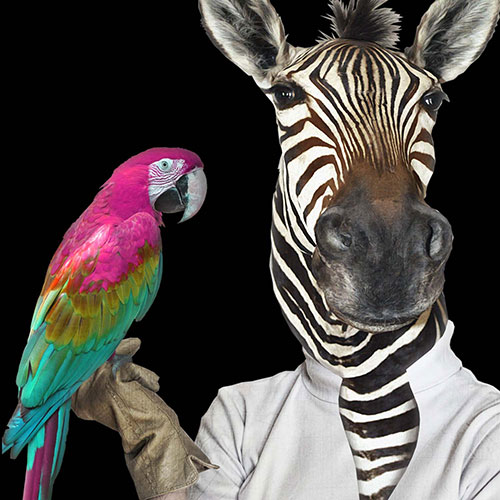 Top 6 Themenwelten 2026 für außergewöhnliche Events